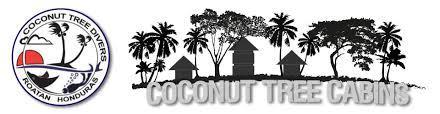 Coconut Tree West End Hotel Buitenkant foto